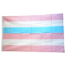 Fahne Intersex blau-pink Flagge Intersexualität Hissflagge 90x150cm