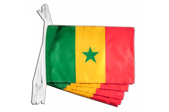 Flagge Senegal 30 x 45 cm Fahne 