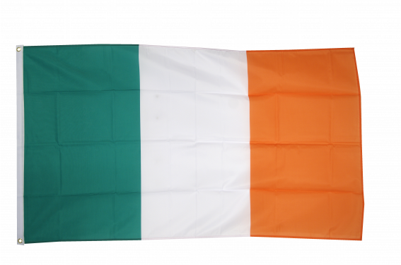 10er Pack Irland Ire Irish STOCKFAHNE EM 2012 Fahne Flagge Fahnen Flaggen