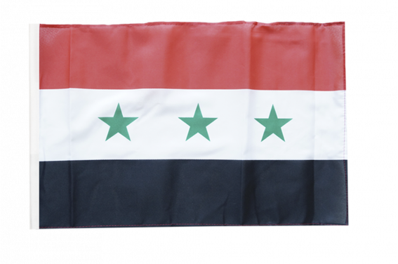 Fahnenkette Flagge Fahne Dänemark Flaggenkette 6 m 8 Flaggen 30 x 45 cm 