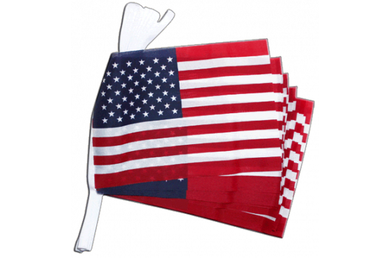 Fahnenkette Flaggenkette Bundesstaaten der USA 15 x 22 cm 