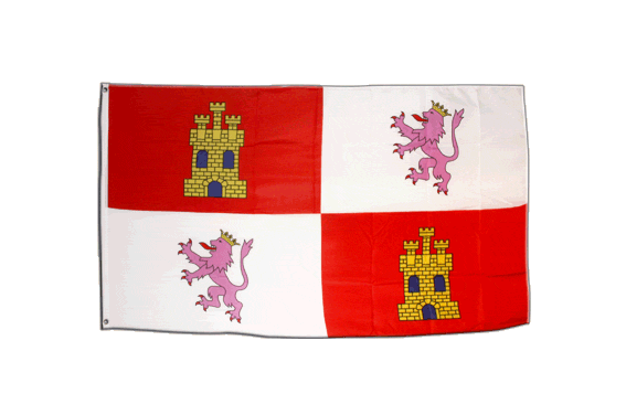Spanien Kastilien-Leon Banner kastilische Fahnen Flaggen 30x45cm 