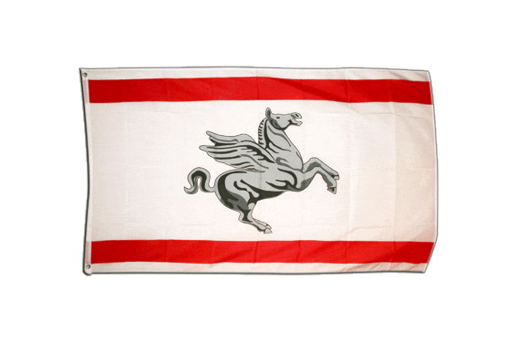 AZ FLAG – Flagge Provinz Béarn, 45x30 Cm, Polyester, Mit Kordel Für Innen & Außen