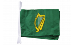 Fahnenkette Irland Leinster - 30 x 45 cm