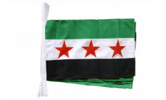 Fahnenkette Syrien 1932-1963 / Opposition - Freie Syrische Armee - 30 x 45 cm