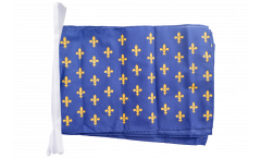 Fahnenkette Frankreich Lilienwappen, blau - 30 x 45 cm