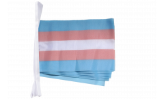 Fahnenkette Transgender Pride - 15 x 22 cm