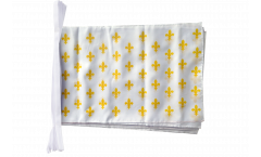 Fahnenkette Frankreich Lilienwappen, weiß - 30 x 45 cm