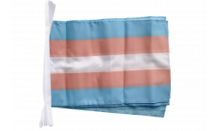 Fahnenkette Transgender Pride - 30 x 45 cm