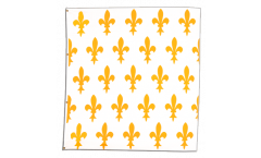 Flagge Frankreich Lilienwappen, weiß - 150 x 150 cm