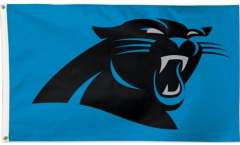 Flagge Carolina Panthers