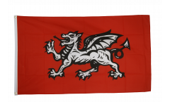Flagge England weißer Drache