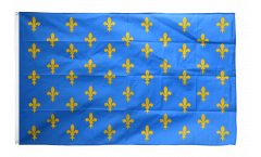 Flagge Frankreich Lilienwappen, blau