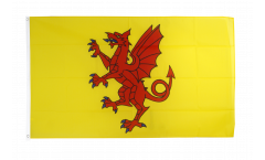 Flagge Großbritannien Somerset neu