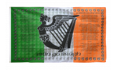 Flagge Irland Ireland Soldiers