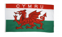 Flagge Wales CYMRU