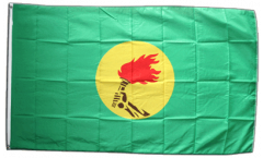 Flagge Zaire